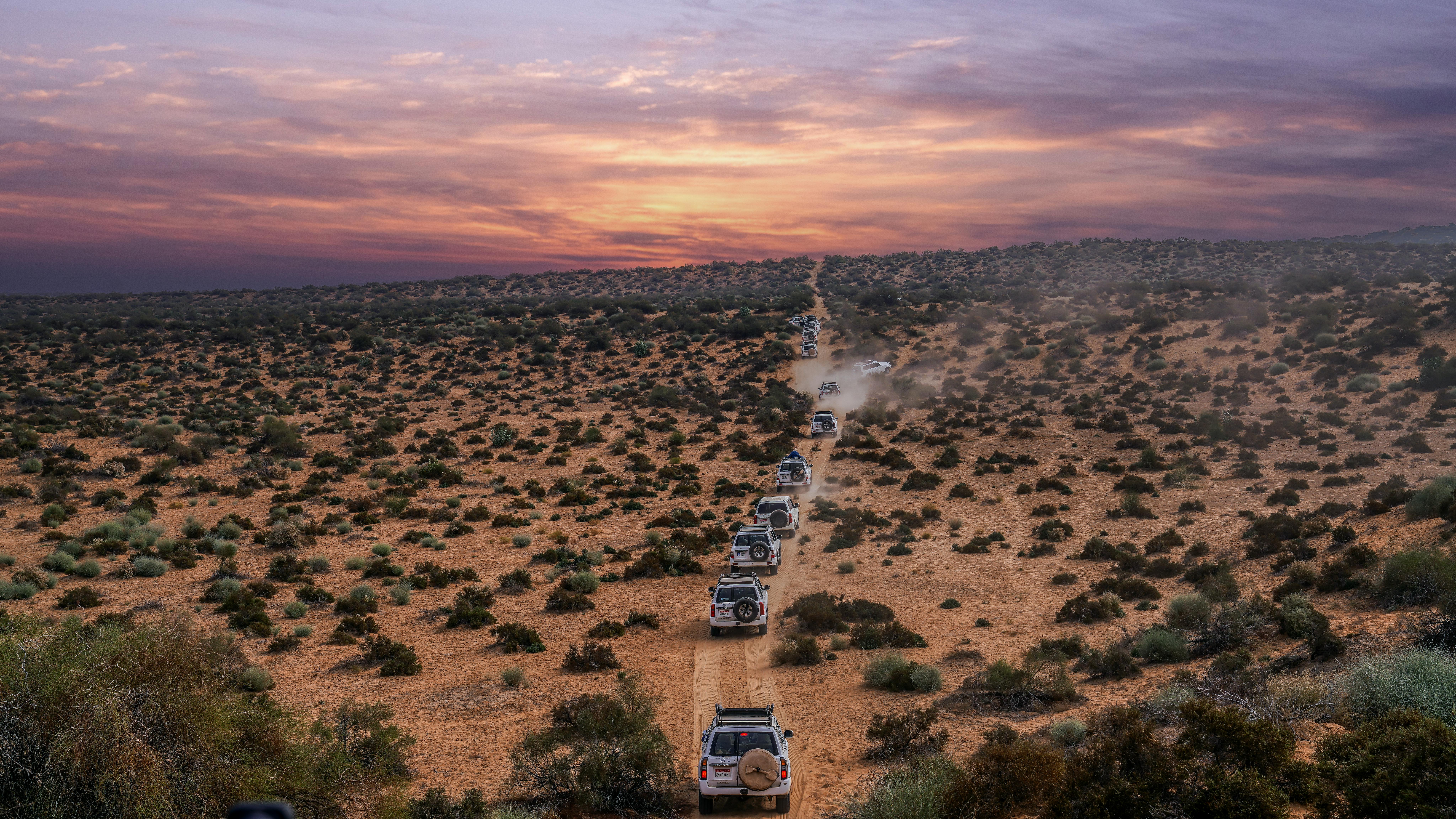 Jeeps in desert
